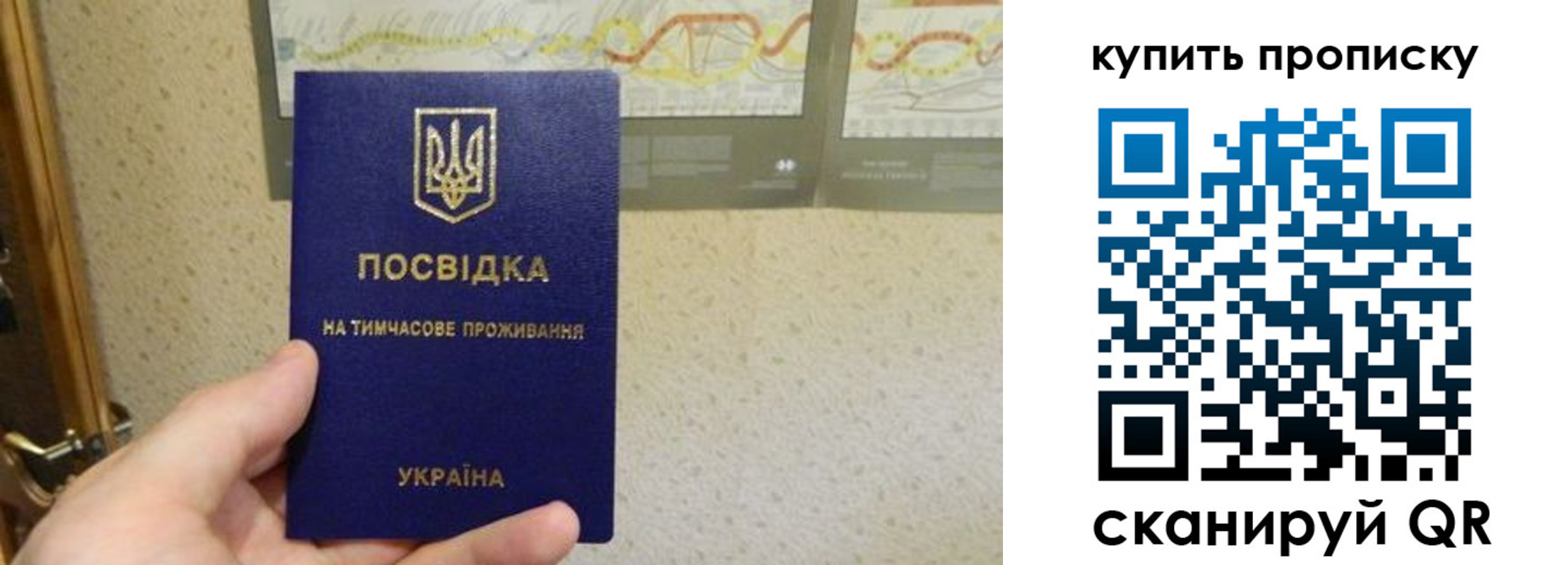 временная регистрация поиск в Волжске